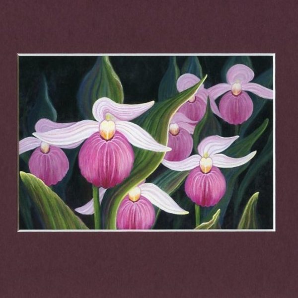Pink Lady Slippers Print – Botanical Art Print – Nature Painting – Orchid Art Work – Floral Art Print – Floral Home Decor – Archival Print