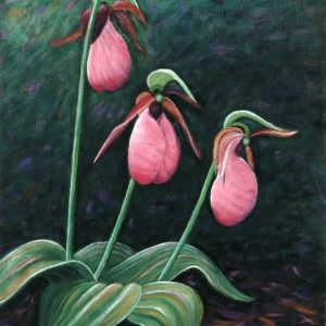 Pink Lady Slippers Art Print – Botanical Art Print – Maine Slipper Orchid Art – Nature Painting – Pink Orchid Art – Maine Garden Art –